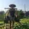 Chau Doc Homestay