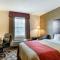 Comfort Inn Auburn-Worcester