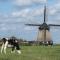Koningshof