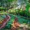 Distant Relatives Ecolodge & Backpackers