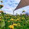 Camping Veld & Duin