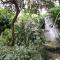 Iguassu Central Flats