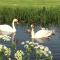 Friesland-cottage
