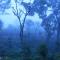 Carmelia Haven Resort Thekkady