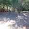 The Terraces of Porto Rotondo - Panoramic View