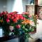 Rathkeale House Hotel