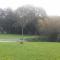 Domaine des Cigognes photo 20