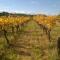 Domaine dAzéou
