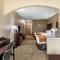 Comfort Suites The Colony - Plano West