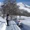 Chalet Skiopied