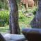 Simbavati Amani - Klaserie Private Nature Reserve