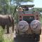 Arusha Holiday Safari
