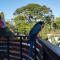 Hotel On The Rock