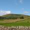 Pendle View - Blackburn