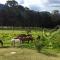 La Isabela Estancia Ecuestre