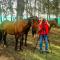 La Isabela Estancia Ecuestre