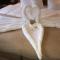 Harmonie Hotel Rust