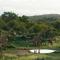 Isambane Camp