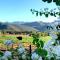 Berluda Farmhouse and Cottages - Oudtshoorn