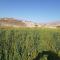 Achab Camping Camp site