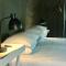 Achab Self Catering Tent
