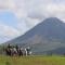 Serenity House. Gorgeous Private home with Pool & Volcano view!! - El Castillo de la Fortuna