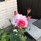 Anitas B&B Stockholm/Vällingby Anitas B&B Stockholm/Vällingby