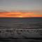 Sea Amor