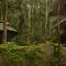 Jungleview Home Stay