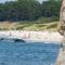 Hasle Camping & Hytter