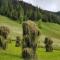 Alfenalm - Ferienwohnungen am Berg - Oberschallerhütte