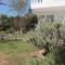 Apollon Apartments