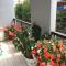 Thien Phu Guesthouse Dalat
