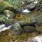 Sítio Bosque Magico - Nova Friburgo