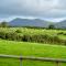 Llys Mawr