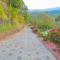 Theeram Agro Farm Hill Resort Vagamon
