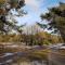 Chalet Op De Veluwe # Berk - 皮滕