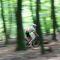 Chalet Op De Veluwe # Berk