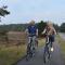 Chalet Op De Veluwe # Berk