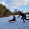 Chalet Op De Veluwe # Beuk