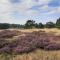 Chalet Op De Veluwe # Beuk