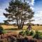 Chalet Op De Veluwe # Linde