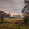 Chalet Op De Veluwe # Linde