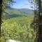 Mountain-top Cabin Get-away with Hot tub and a View
