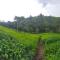 Ranges View Lodge - Aberdare Safari in Muranga