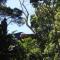 Treehouse Cottage - The Crags