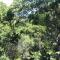 Treehouse Cottage - The Crags