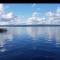 Stunning log cabin on the lake - Portroe