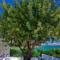 The Island Concept Luxury Boutique Hotel Heated Pool