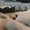 Hotel Spichlerz Pierwszy SPA & WELLNESS - Kazimierz Dolny